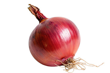 Whole red onion on transparent background