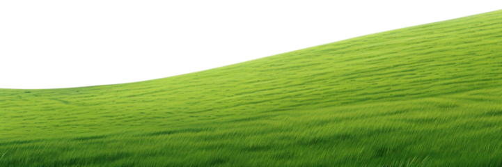 PNG Green grass hill green sky grassland.