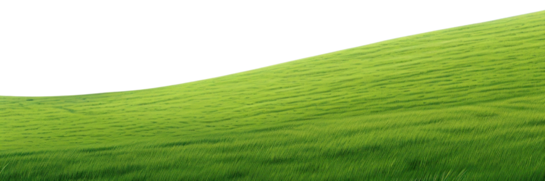PNG Green grass hill green sky grassland.