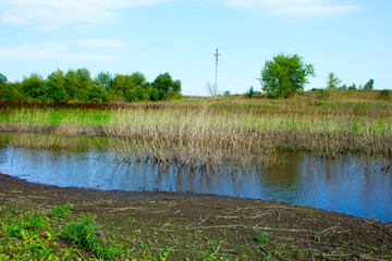 Dry branches stick out of the water of the drying lake.
