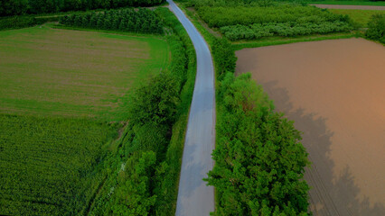 Aerial View of a Road Amidst Lush Greenery | Scenic Landscape

