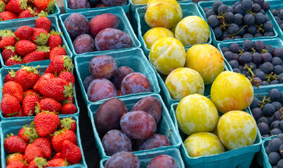 various colorful fruits in containers in farmer’s market
