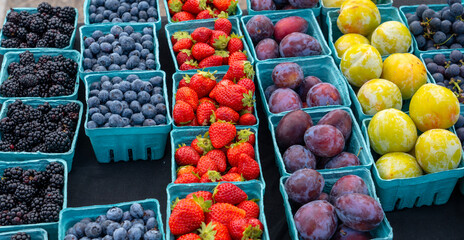 various colorful fruits in containers in farmer’s market
