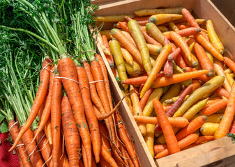 fresh and sweet carrot in farmer’s market