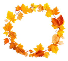 PNG Leafs autumn circle plant.