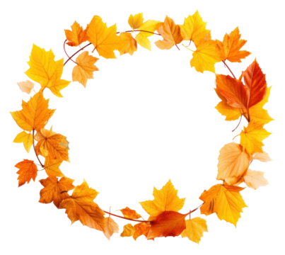 PNG Leafs autumn circle plant.