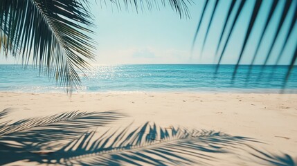 Loop video of palm leaf shadows on a sandy beach with blue ocean backdrop.