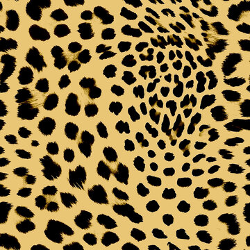 animalprint leopardo
