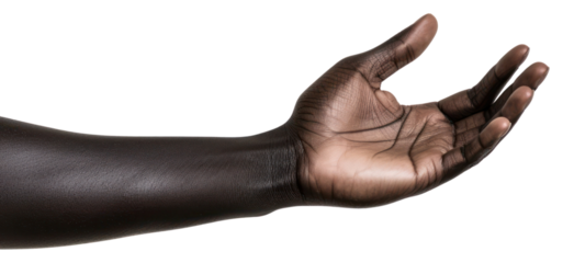 PNG Finger hand person adult.