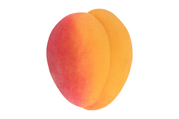 Apricot on isolated white background