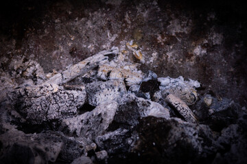 From Ashes 