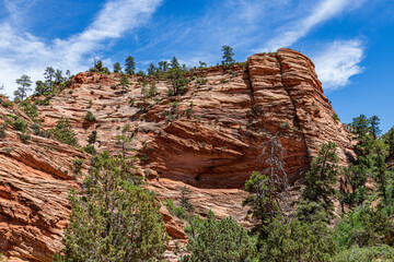 Sandstone formation at Zion NP.
