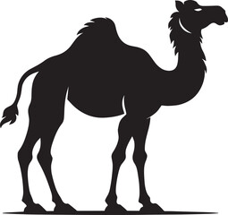 Desert camel animal Silhouette isolated on white background Minimalist camel vector illustration