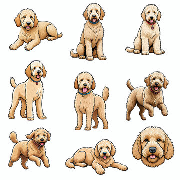 Goldendoodle dogs in different positions cartoon illustration set, dog breed clip art element design graphic