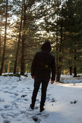 Naklejka premium Man walking in the winter forest on a sunny day. Back view. Man walking in the woods in the winter in the rays of the setting sun.