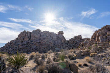 Joshua Tree National Park