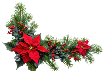 PNG  Christmas corner arrangement christmas flower plant.
