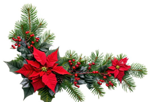 PNG  Christmas corner arrangement christmas flower plant.