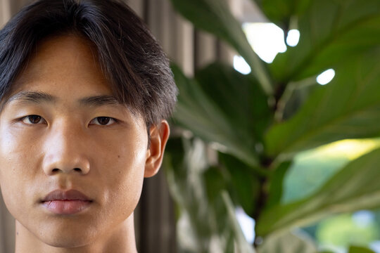 Close-up of young asian man with serious expression, green plant in background, copy space