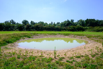 Photo of a fen with reflection in the water, in the wild nature surrounded by green grass and a blue sky. North Brabant, Netherlands