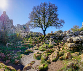 Rock formations with curious shapes in the Torcal de Antequera in the province of Malaga