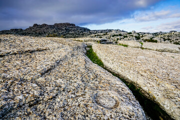Fossilized ammonite on a rock in Torcal de Antequera