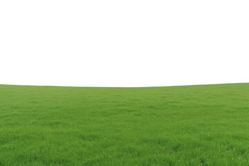 Fototapeta premium PNG Natural meadow backgrounds outdoors horizon.