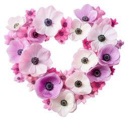 PNG Blossom flower petal plant.