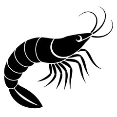 illustration of a shrimp