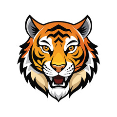 Tiger head color vector illustration design