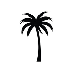 Obraz premium Palm tree summer logo template