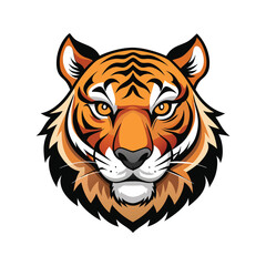 Tiger head color vector illustration design