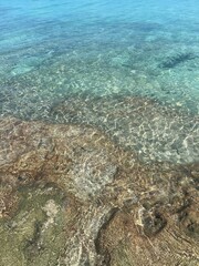 Island Life 