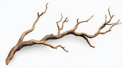 Fototapeta premium Twisted Branch on White Background, Composition Single element, Image Details Brown, Dry, Branch, Keywords Nature, Abstract