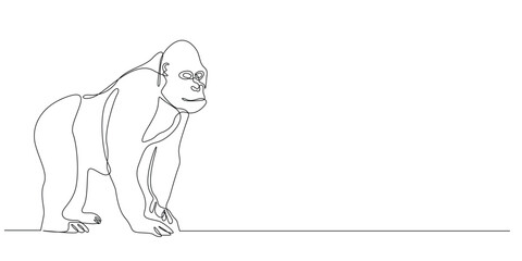 continuous line of gorilla.one line drawing of gorilla.single line vector illustration.editable stroke.isolated white background