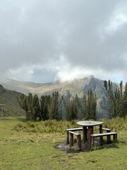 landscape with a chair