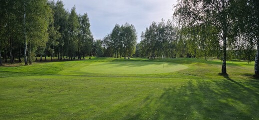 golf course with a green area, a hole, and a flagstick, surrounded by trees under a clear sky.
