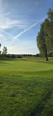 golf course with a green area, a hole, and a flagstick, surrounded by trees under a clear sky.
