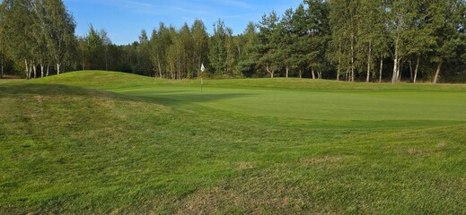 golf course with a green area, a hole, and a flagstick, surrounded by trees under a clear sky.
