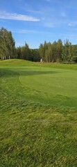golf course with a green area, a hole, and a flagstick, surrounded by trees under a clear sky.

