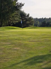 golf course with a green area, a hole, and a flagstick, surrounded by trees under a clear sky.

