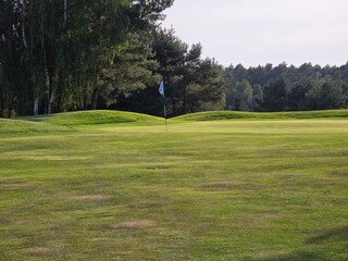 golf course with a green area, a hole, and a flagstick, surrounded by trees under a clear sky.
