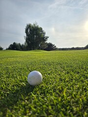 Close-up of a golf ball on grass with a blurred flagstick and green area in the background.