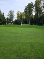 golf course with a green area, a hole, and a flagstick, surrounded by trees under a clear sky.
