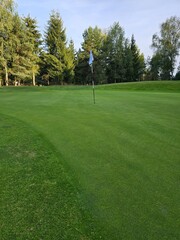 golf course with a green area, a hole, and a flagstick, surrounded by trees under a clear sky.
