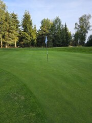 golf course with a green area, a hole, and a flagstick, surrounded by trees under a clear sky.
