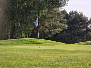 golf course with a green area, a hole, and a flagstick, surrounded by trees under a clear sky.

