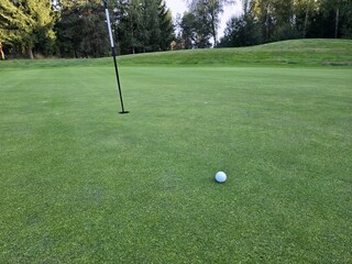 golf course with a green area, a hole, and a flagstick, surrounded by trees under a clear sky.
