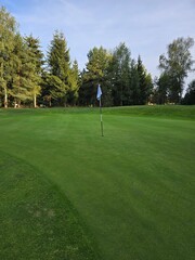 golf course with a green area, a hole, and a flagstick, surrounded by trees under a clear sky.
