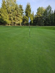 golf course with a green area, a hole, and a flagstick, surrounded by trees under a clear sky.
